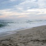 961234开奖结果最新公布,速看本期中奖号码 m94638r6k