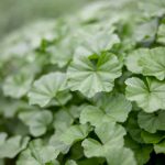 95开奖网最新开奖信息与官方数据同步更新 u2pgzspb